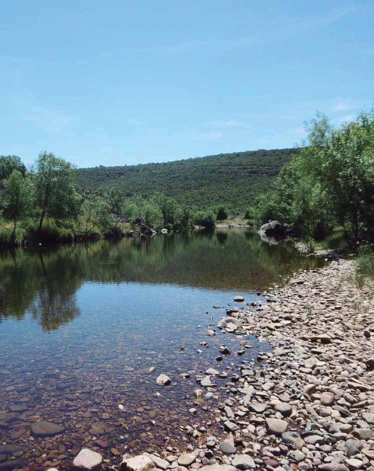 Reservas Naturales Fluviales en las demarcaciones hidrográficas intercomunitarias e