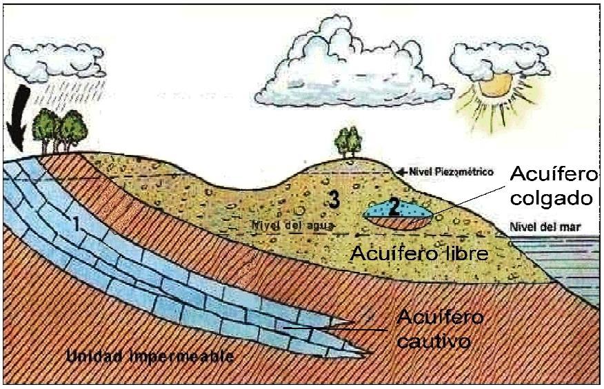 Si se rompe el confinamiento, perforando un pozo, el agua subirá por encima del terreno (pozos surgentes y artesianos).