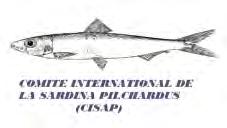 Internacional de la sardina