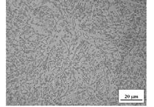There are sub-grain boundaries due to polygonisation and otherwise clean ferrite almost free from dislocations Fe-0.98C-1.46Si-1.89Mn-0.26Mo-1.26Cr-0.