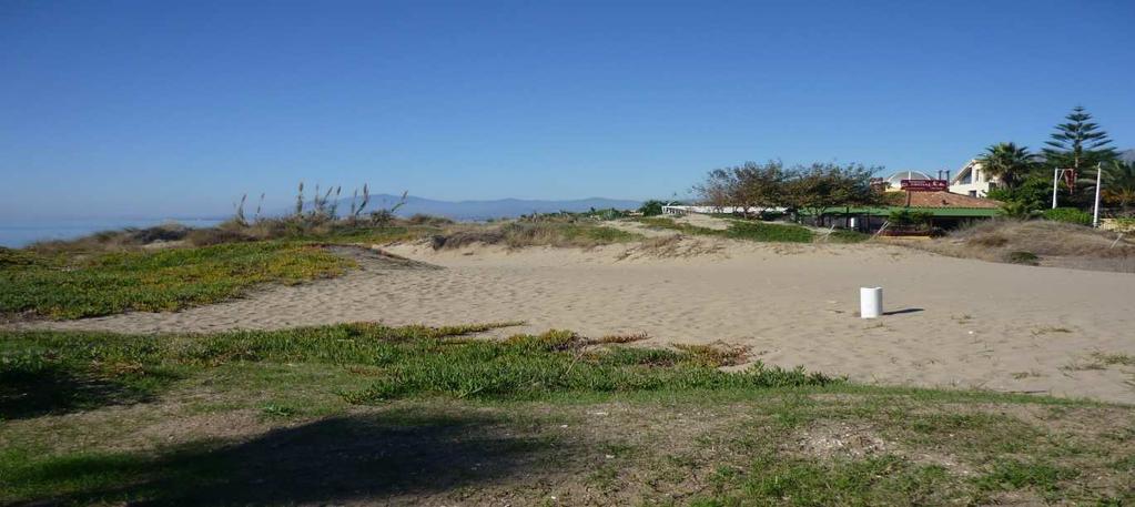 3 - DUNA ZONAR EL ARENAL, Costabella (Marbella) Esta pequeña zona dunar se encuentra oprimida entre los Chiringuitos El Arenal y Bono s