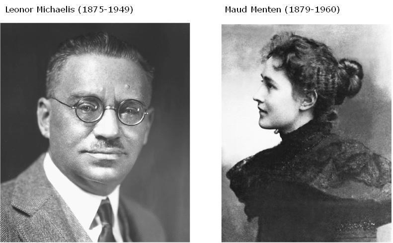 La primera clave en cuanto al comportamiento enzimático lo aportaron V. Henri (1903) y posteriormente Leonor Michaelis y Maud L. Menten (1913).