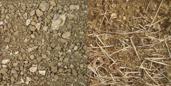 el contacto de semilla con los agregados del suelo Suelo excesivamente mullido: pierde estructura y facilita el