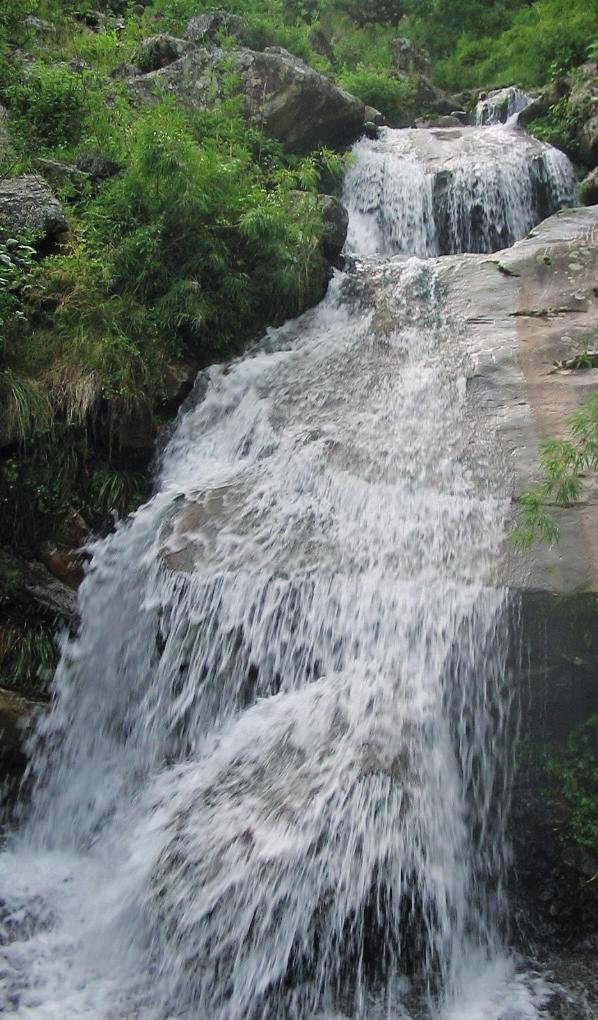 Información general del área La Reserva Nacional de Flora y Fauna Tariquía fue creada el 2 de agosto de 1989, se encuentra ubicada en la región sureste del departamento de Tarija (al sur del poblado
