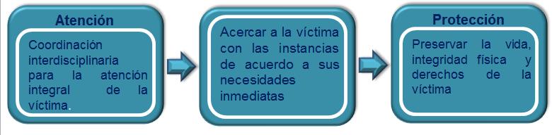 Consejería Jurídica del. Informar de inmediato a la autoridad indicada de las circunstancias de la víctima, así como, de los hechos ocurridos.