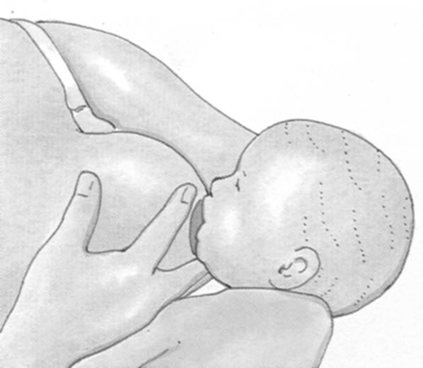 - Es recomendable que la madre sostenga su seno con su mano en forma de C para facilitar la respiración del bebé, lo que permitirá dirigir fácilmente el pezón.