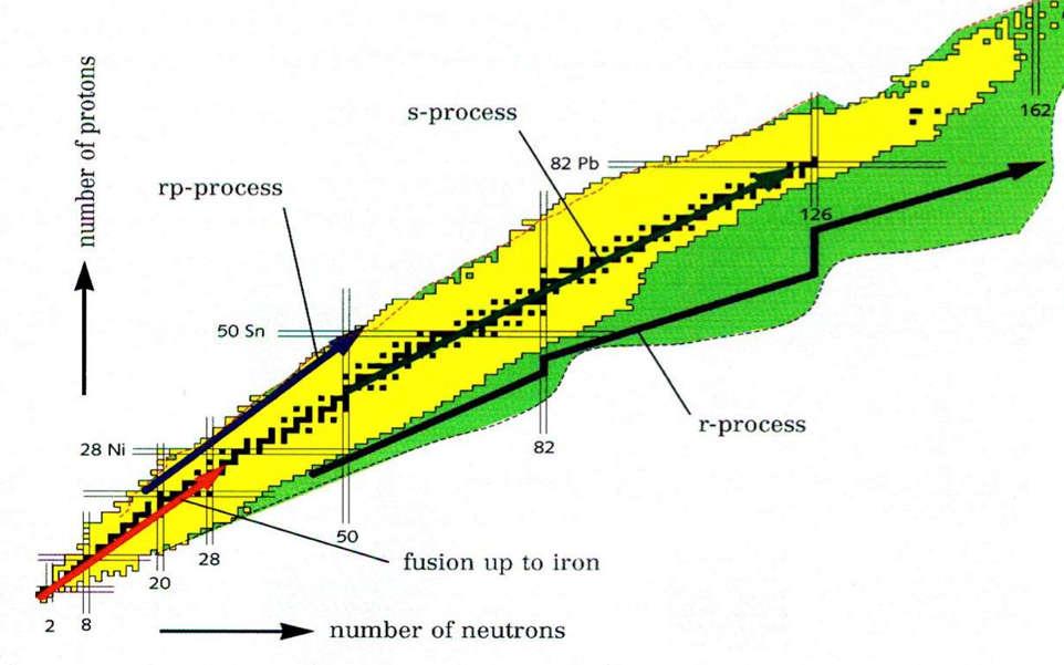 Procesos s, r y rp Captura de neutrones: procesos s (slow)