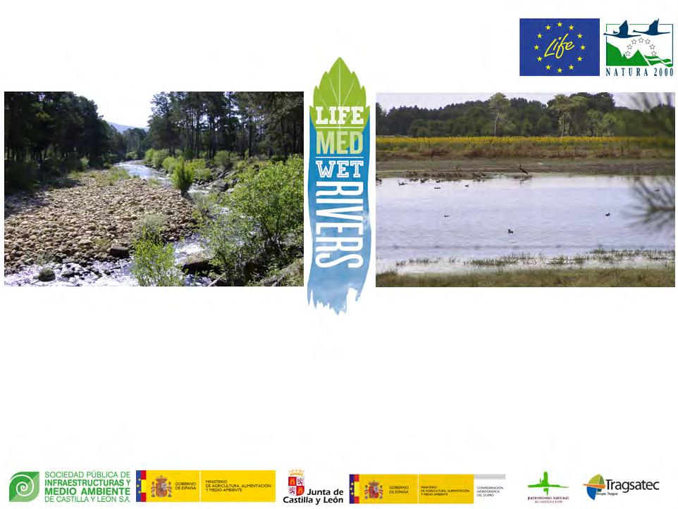 Seminario Gestión y seguimiento en ríos y humedales mediterráneos de la Red Natura 2000: Coordinación de la aplicación de las Directivas de naturaleza y la Directiva Marco del Agua Valladolid, 26-28