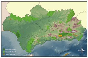 Ctenodecticus major Pascual, 1978 Tamaño de la población en Andalucía (y evolución): Muy escasa. Hábitat: El rango altitudinal en el que se encuentra la especie es de 1700 a 1900 msnm.