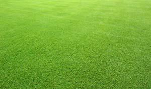 Fertilizantes Fertilizar el terreno es una de las tareas más importantes para mantener el césped siempre con un color verde y con una buena textura.