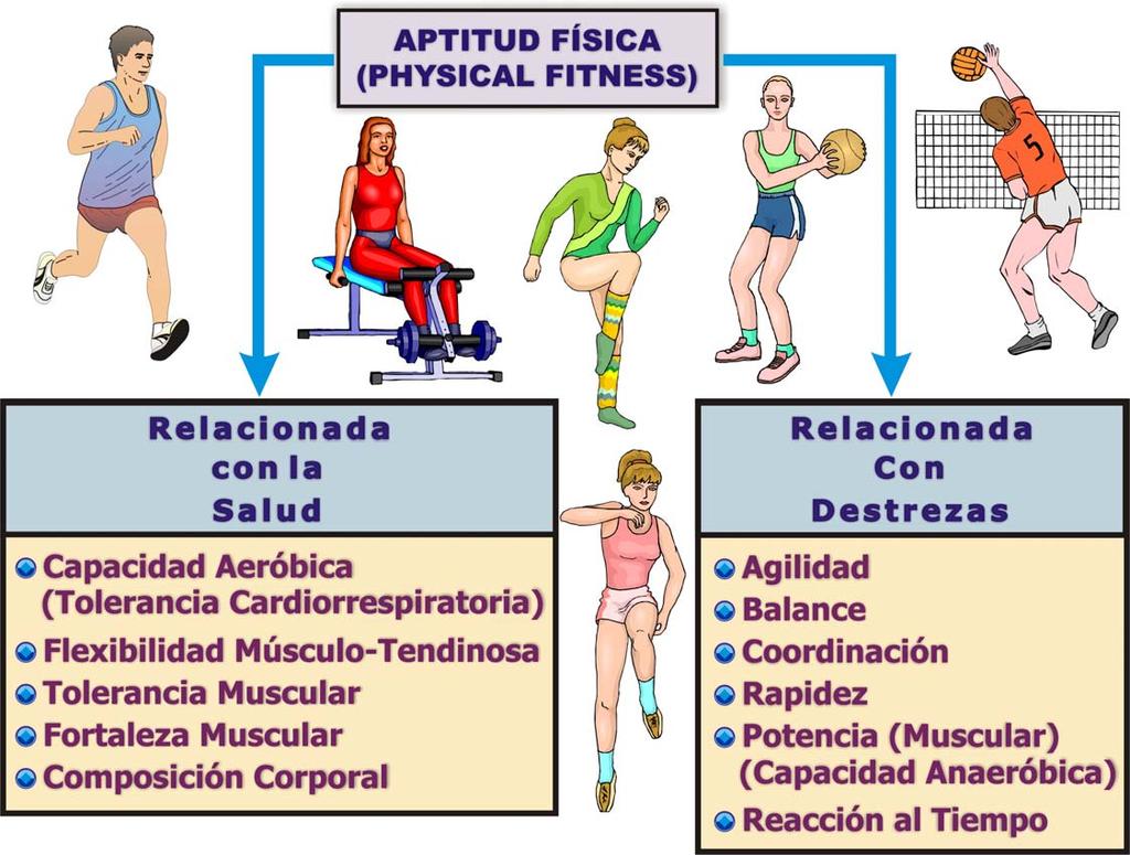 NOTA. Adaptado de: "Physical Activity, Exercise, and Physical Fitness: Definitions and Distinctions for Health-Related Research", por: C. J. Caspersen, K. E. Powell, y G.