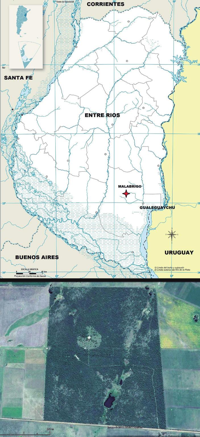 NUÑEZ BUSTOS, E. Figura 1- Ubicación geográfica de Malabrigo y vista aérea del área de estudio. medio de un mar de cultivos y campos con ganado.