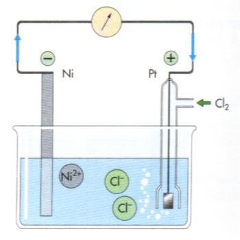 Ni Ni 2+ + 2e - Cl 2 + 2e - 2 Cl - Ni / Ni 2+ (aq), Cl 2 (Pt) / Cl - (aq) Los electrodos inertes de platino también son necesarios cuando se trata de un proceso redox entre iones, por ejemplo, se