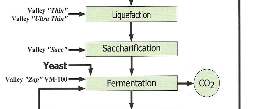 Desfibración Separación gluten Aceite