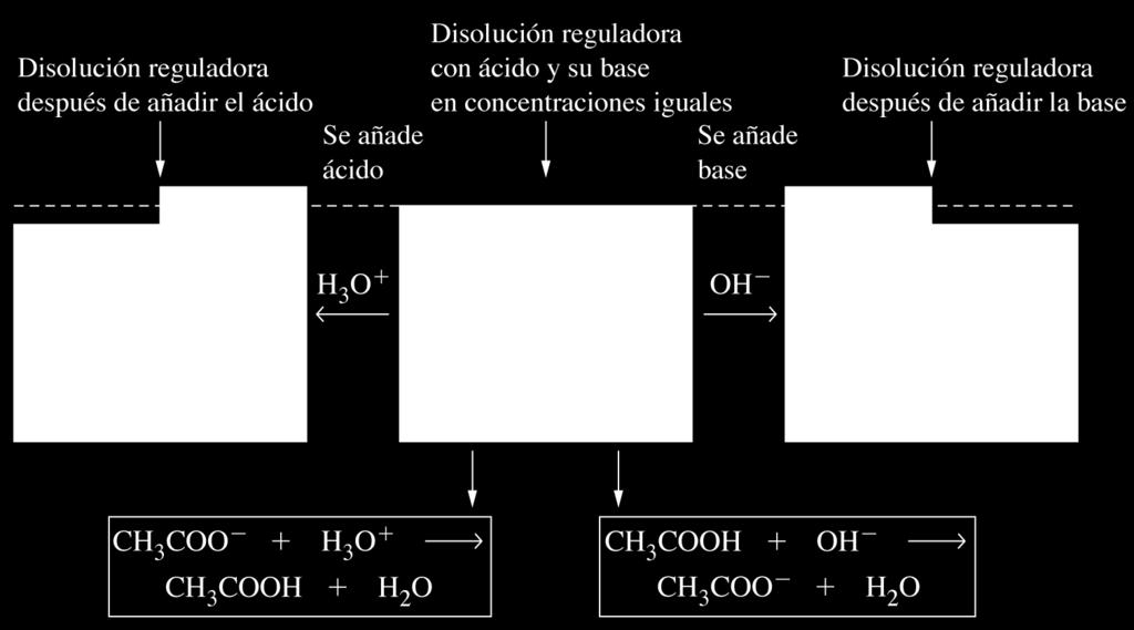 Efecto del ion común y disoluciones reguladoras Una disolución reguladora ofrece su máxima capacidad reguladora del ph cuando las
