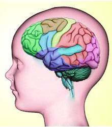 Localización Anatómica de las Crisis Epilépticas-2 Epilepsia de origen en el lóbulo frontal déficits en tareas de coordinación motora, atención y en funciones ejecutivas, como memoria de trabajo,