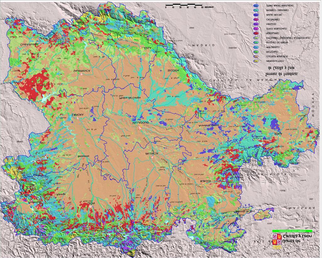 V3 Conservación y mejora de los bosques Mapa 2. Terrenos de frondosas y masas mixtas de Castilla y León Fuente: Mapa Forestal de España (MIMAM).