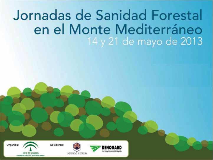 Procesos de decaimiento forestal en montes de frondosas y coníferas Rafael