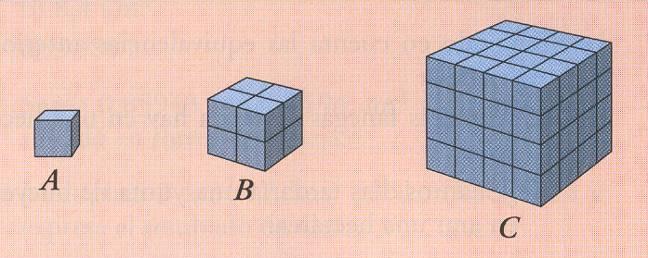 - Calcula el volumen de estos cuerpos tomando como unidad el cubo unitario A: Cuál sería el volumen de las figuras C y D, tomando como unidad la figura B? 9.