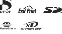 Marcas comerciales Epson, ESC/P y PictureMate, PRINT Image Matching y el logotipo de PRINT Image Matching son marcas registradas de Seiko Epson Corporation. SD es una marca comercial.