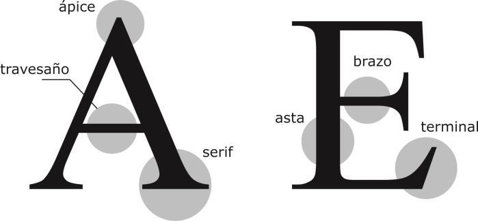 Anatomía tipográfica Para afrontar con reales