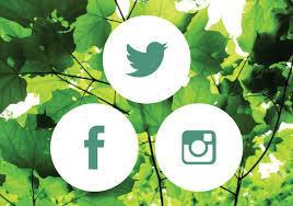redes sociales de Rainforest Alliance y