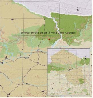 Informe Informe regional de quirópteros cavernícolas 29.