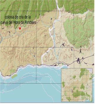 Informe regional de quirópteros cavernícolas 29.