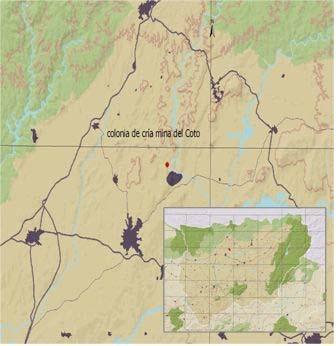 Informe regional de quirópteros cavernícolas 29.