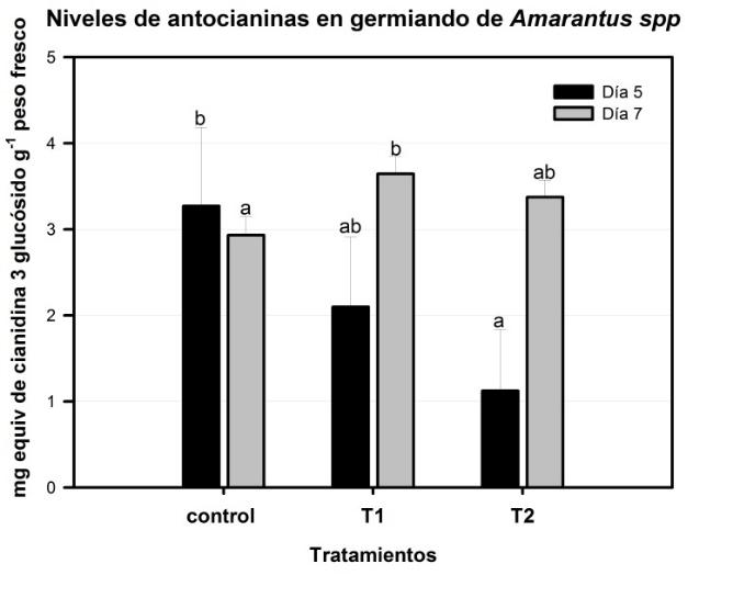 Figura 1. Niveles de clorofila en germinados de Amarantus spp.