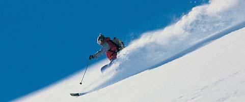Un total de 55 trenes de montaña y remontes con 350 km de pistas, halfpipe y funpark para los amantes del snowboard, 150 km de sendas de esquí de fondo, excursiones de esquí de montaña y en