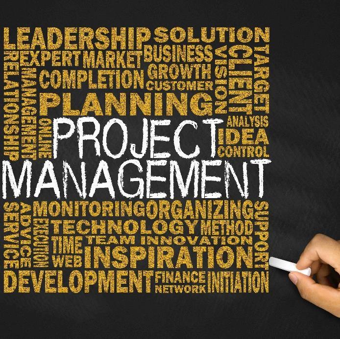 Gerenciamiento de Proyectos (Project Management): Trabajamos a partir de los estándares definidos por el Project Management Institute (PMI).