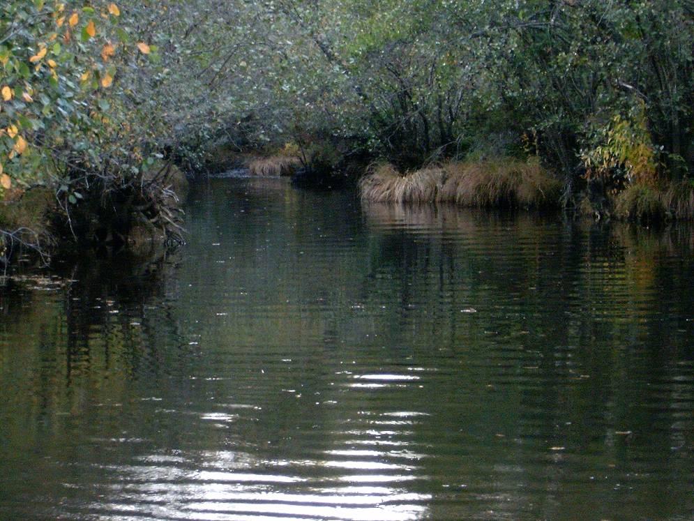 ANEJO 3. ZONAS PROTEGIDAS Código: 1 Nombre: Río Negro y afluentes.