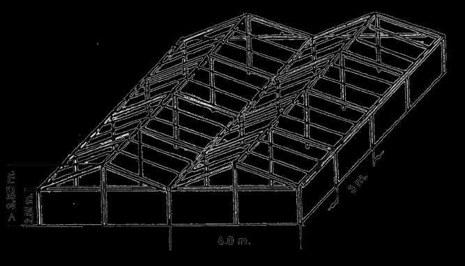 11.- Tipos de invernaderos del Alto Valle Estructuras de techo a dos