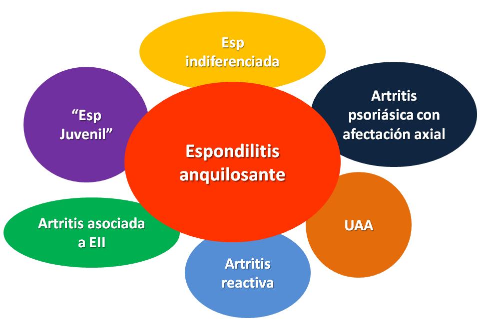 Introducción Las EspA son un grupo heterogéneo de enfermedades que comparten ciertas características 3 : agregación familiar, mecanismos patogénicos, asociación con el antígeno de histocompatibilidad