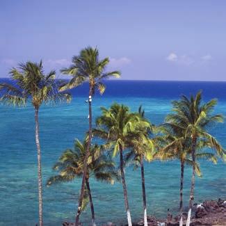 EVENTOS VIAJE DE VERANO - Kona, Big Island, Hawaii Tenemos 2 destinos a los que te puedes Escapar! SÓLO EN FEBRERO! La competencia ha comenzado!