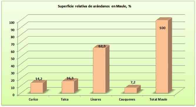 Superficie relativa de arándano, frambuesa y frutilla en regiones del Maule y del Biobío, %