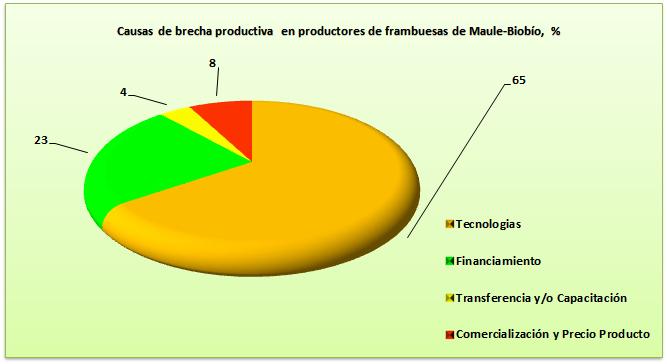 Cuadro 9. Brecha productiva de los productores de frambuesas en las regiones del Maule y del Biobío* *Potencial para Maule. Biobío: 16.000 kg/ha Rendimiento Potencial kg/ha 18.