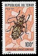 Hymenoptera : Chrysididae : Chrysis