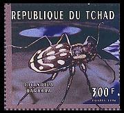 1996 : Insectos (Y & T : xxx) (Scott : 681 a 681 d).