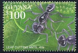 2000 Octubre 4 : Fauna de bosque tropical humedo (1 de 2 valores) (Y & T : xxx) (Scott : 3674). Hymenoptera : Formicidae : Atta sp. (Estas hormigas no se parecen mucha a las Atta).