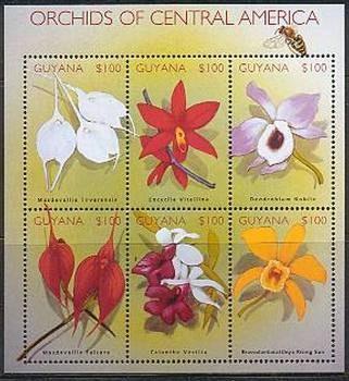 2002 : Orquideas de America Central (1 BF) (Y & T :