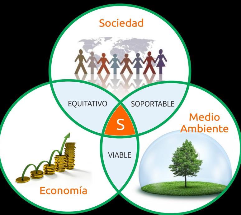 Elementos para una Estrategia de Actuación Sustentable de la industria Curso de desarrollo sustentable y su