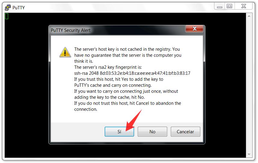 La primera vez que ingreses al servidor, aparecerá una advertencia de seguridad, haciendo referencia sobre la identidad del servidor al cual te estás conectando.
