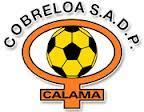 Antecedentes Cobreloa es una institución cuyos dueños del Club, son los socios(as) y no tiene