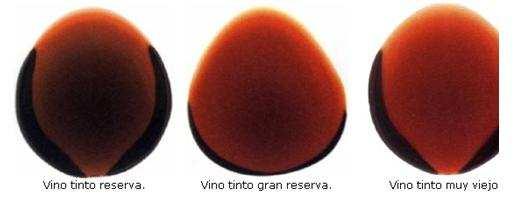 El color del borde de la copa revela el estado de evolución n del vino. La parte superior del vino que corona con el cristal se denomina disco o menisco.
