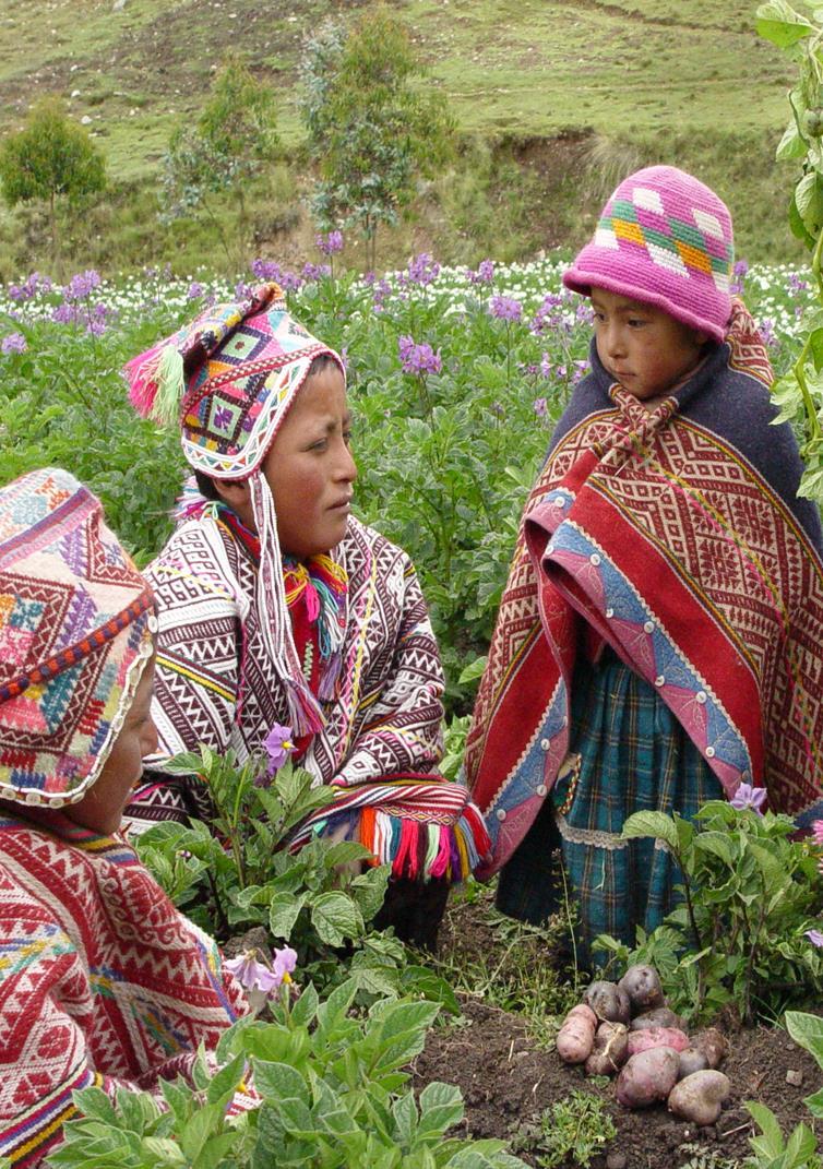 Lessons learned In Peru we are on time: thousands of traditional communities and crops The sustainability of agro-ecosystems is based on the local culture and market opportunities