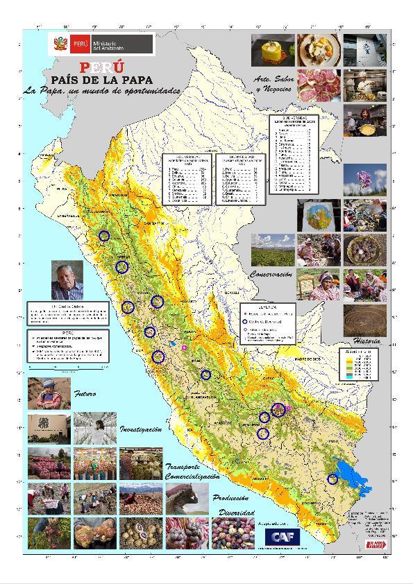 POTATO PERÚ: 3600 varieties. Map of distribution of cultivated spp. and varieties, and wild relatives: 91 wild species of potato, from 199 in que world.