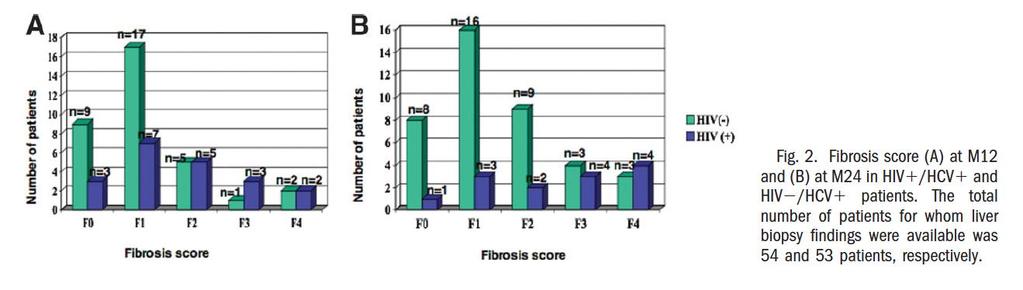 Fibrosis a los 12 meses después del trasplante puntuación media de 1,7 en pacientes coinfectados en comparación con 1,1 en pacientes monoinfectados (p = 0,06); A los 24 meses, 2,4 frente a 1,4,