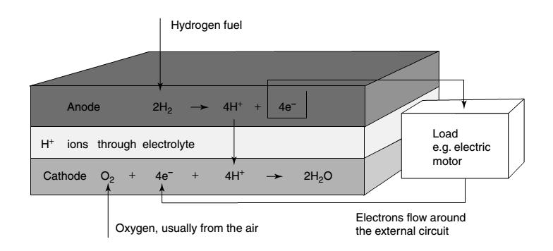 Tipos de Celdas de Combustible. Celdas de Combustible de Electrolito Ácido. - Membrana de Intercambio Protónico (PEM-FCs).